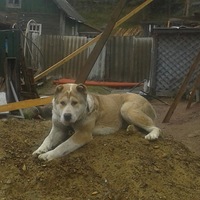 Оксана Хавхалюк