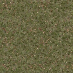 TS12-Grass-617