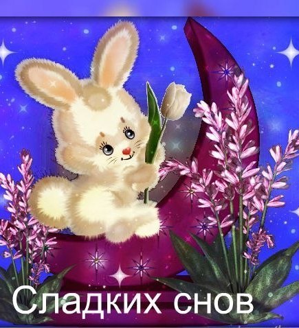 Красивые картинки с зайцами и надписями