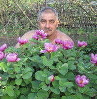 Коля Петров
