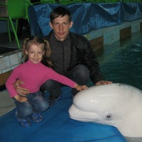 Александр Новиков