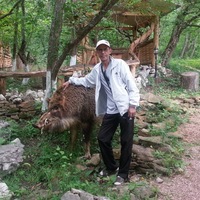 Андрей Чернов