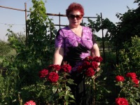 Светлана Морозова