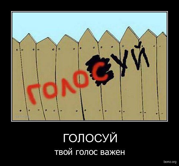 Прикольные, картинки голосование приколы