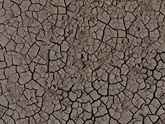 wp_texture10_ground_dry