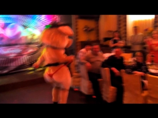 Свинка стриптиз,Певица Тамада Елена 89030610709Татарстан vk.com/club36920584