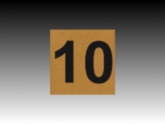 Invisible Speed Limit Sign 10