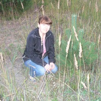 Елена Исакова