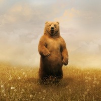 Андрей Редин