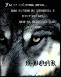 Владимир Волк