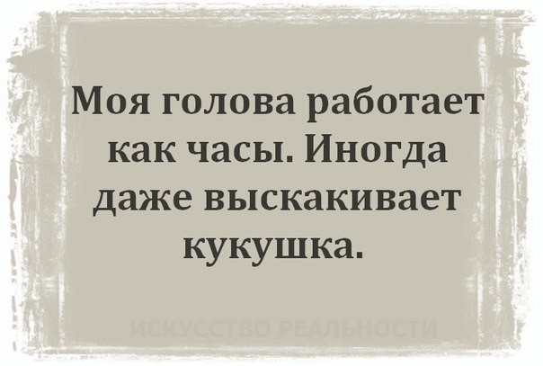 Моя голова не работает. Моя голова не работает. Работа надпись. Короткометражка про птичку. Задействуй голову.
