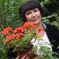 Татьяна Ильина