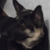 Юрик Лебедев
