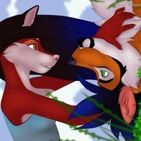 Дима Волков