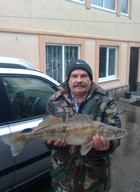 Владимир Новоселов