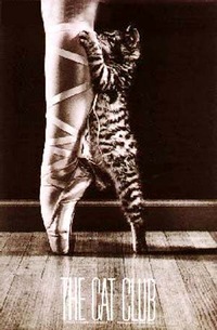 Анна Ковалева