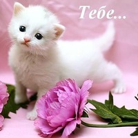 Екатерина Климова