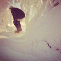 Алексей Бабенко