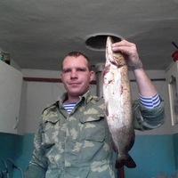 Владимир Губанов