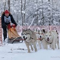 Александр Ларионов