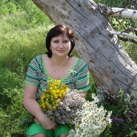 Елена Калмыкова