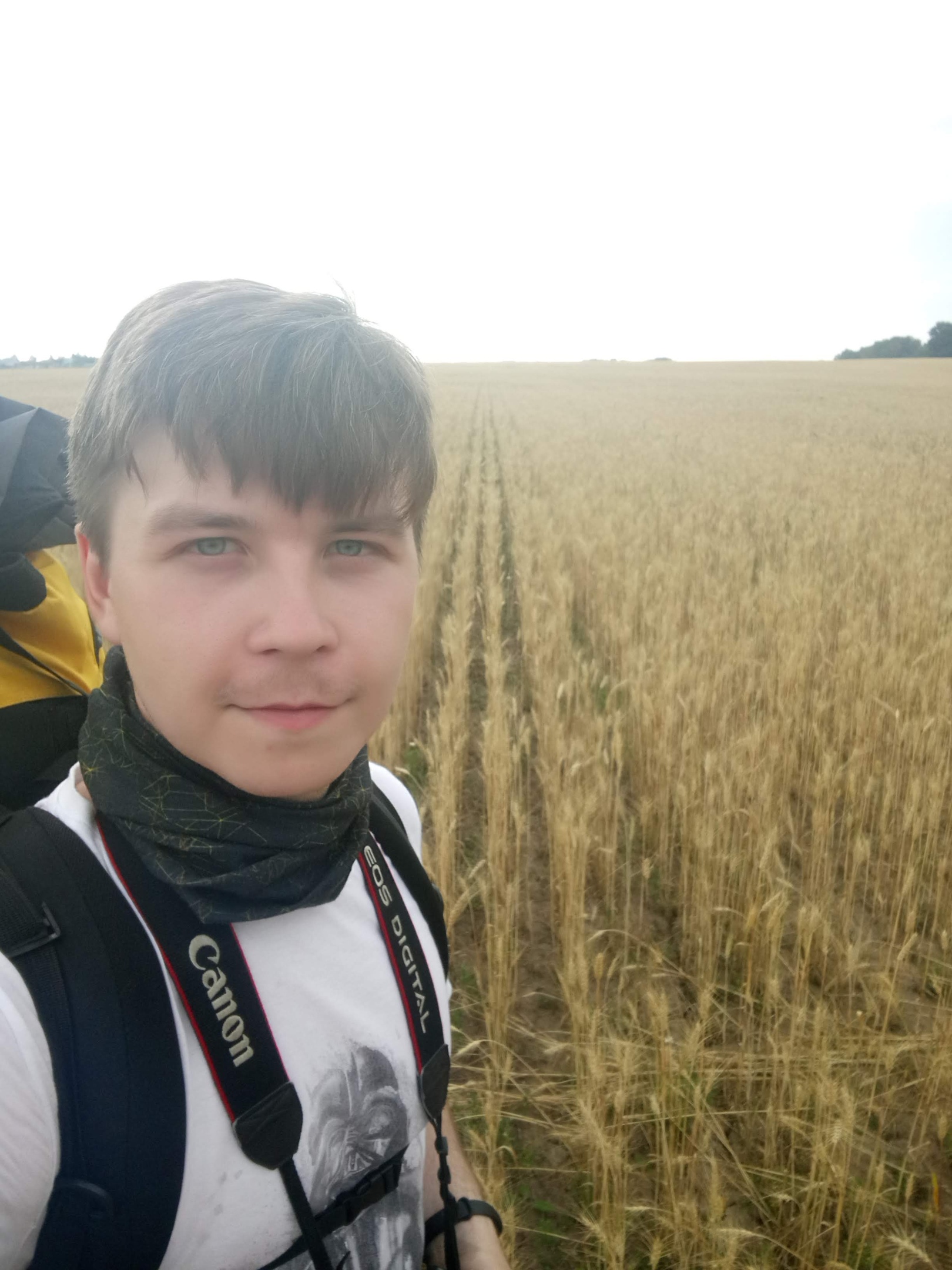 село кондрашкино каширского района воронежской области. перекрыто движение в зарайске 10 июня 2022. станция богатищево. поселок богатищево каширский район. автобус зарайск коломна.