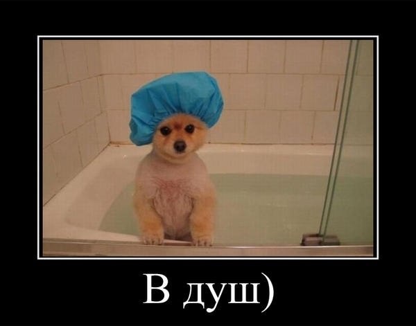 Картинки про душ приколы, открытки