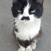 Евгений Завражнов