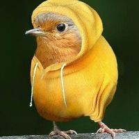 Макс Хорев