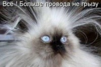 Екатерина Зайцева