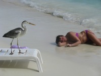 Мария Дидоренко