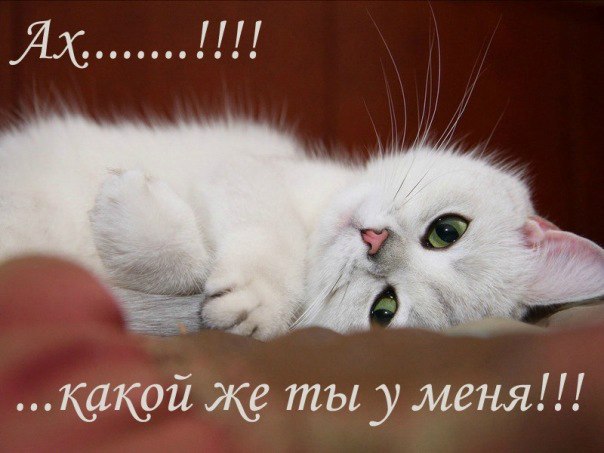 картинки ты у меня самая лучшая онлайн картинки ты у меня самая лучшая