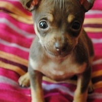 Анастасия Тачук