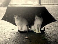 Марина Шультайс