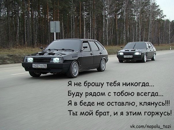 Животных смешные, картинки машин ваз с надписями