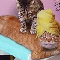 Сергей Аленин