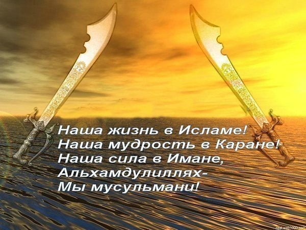 Умные слова картинки мусульманские, конспект