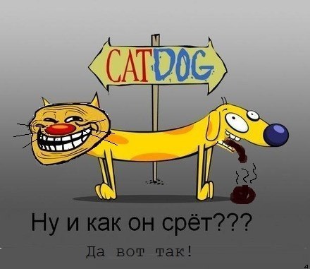 Страшные картинки котопес