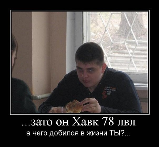 картинка злой ежик онлайн картинка злой ежик