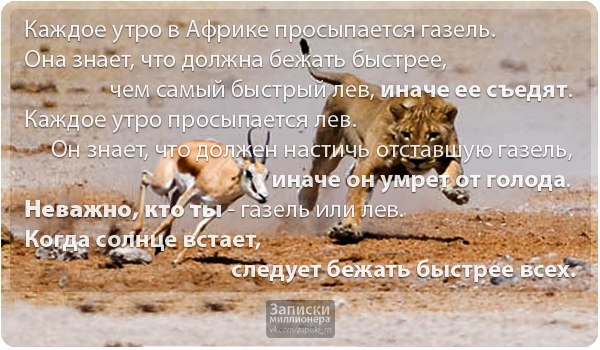 Каждое утро в африке просыпается газель она должна бежать быстрее льва