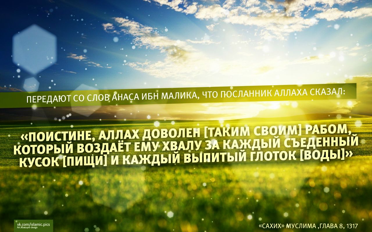 ������ ��� ������ � ������ ������� ��������, �������� ���������