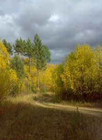 Александра Ковязина