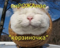 Kat Kat