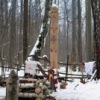 Ясеневское Капище Сварога