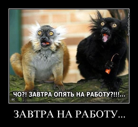 Картинки завтра на работу прикольные после праздника