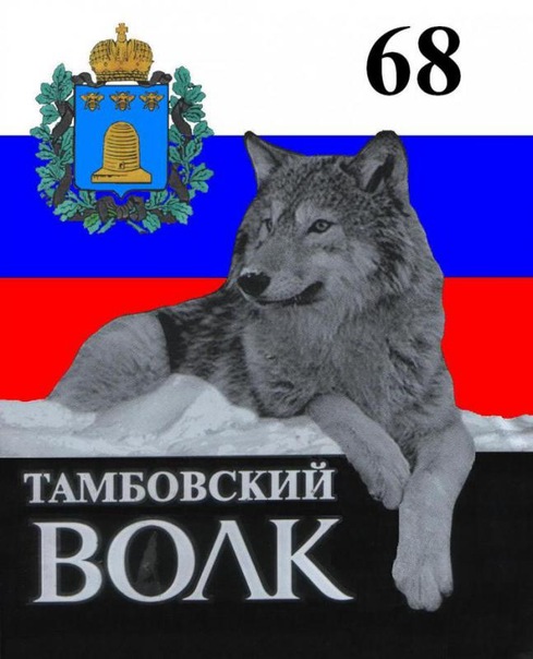 Картинки с тамбовским волком прикольные