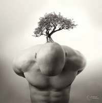 Неверный Сын