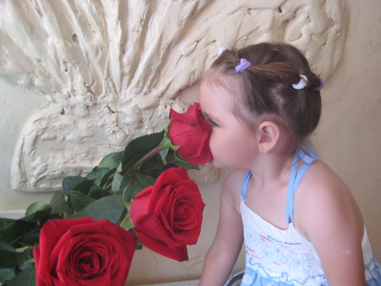 Светлана Колесник