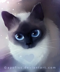 картинки кошки красивые онлайн картинки кошки красивые
