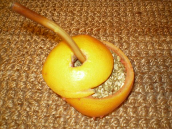 Бен челеро мате